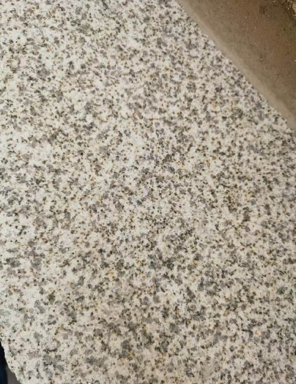 南京 黄金麻中黄光面