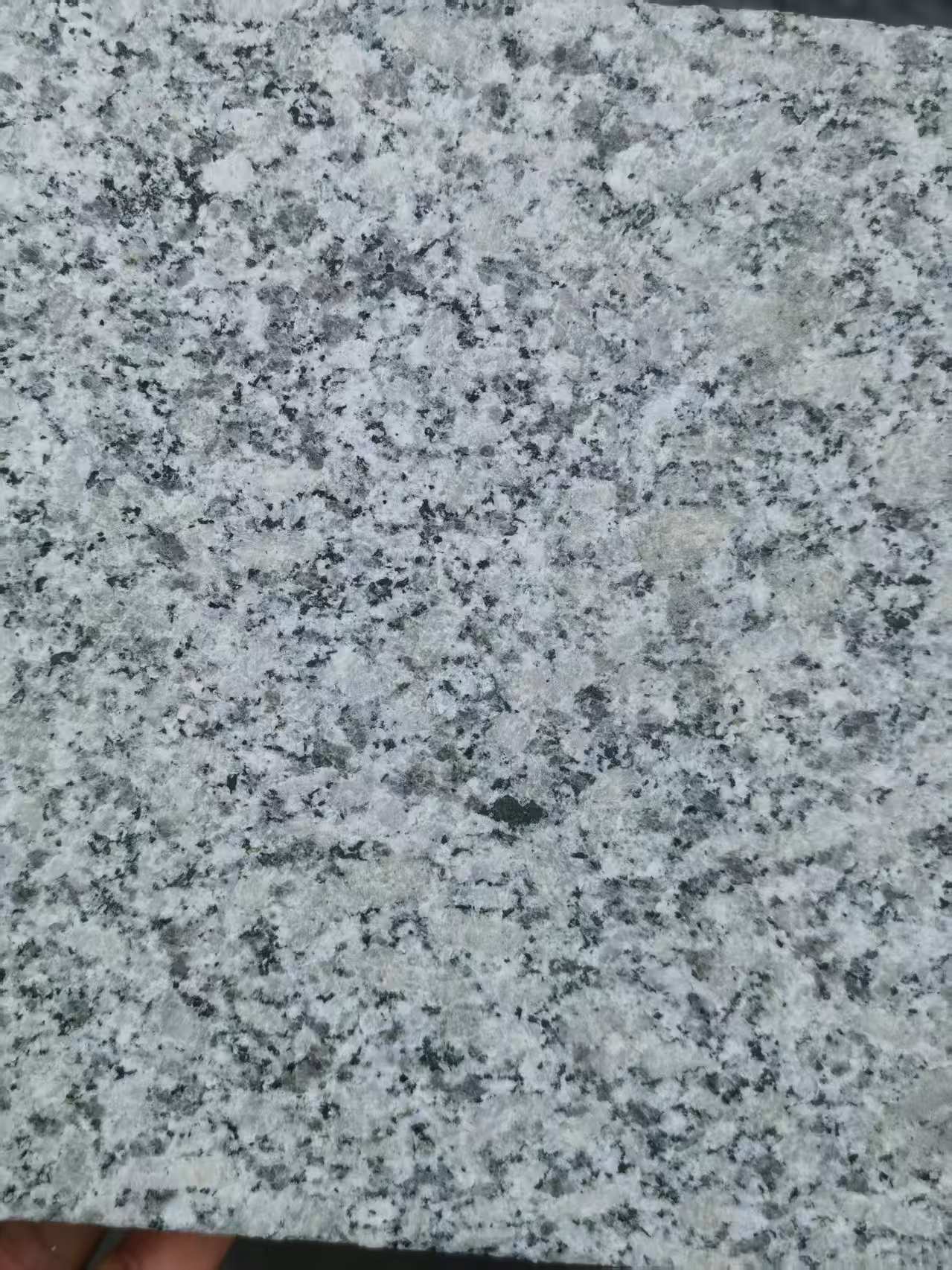 南京 芙蓉白火烧面