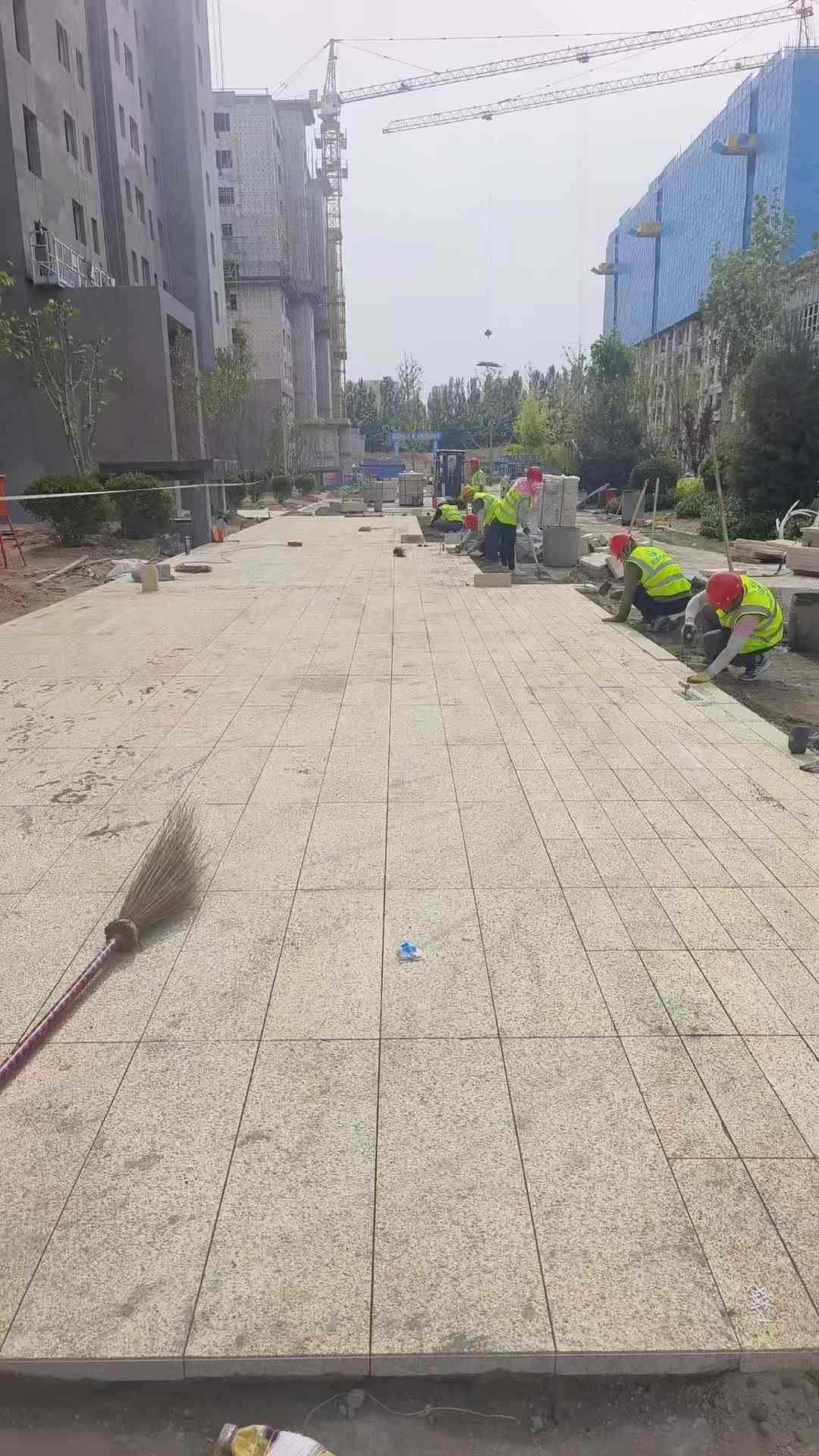 南京黄金麻荔枝面地铺案例